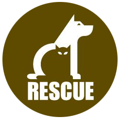 Dog adoption Central logo. Logodesign by randyheil